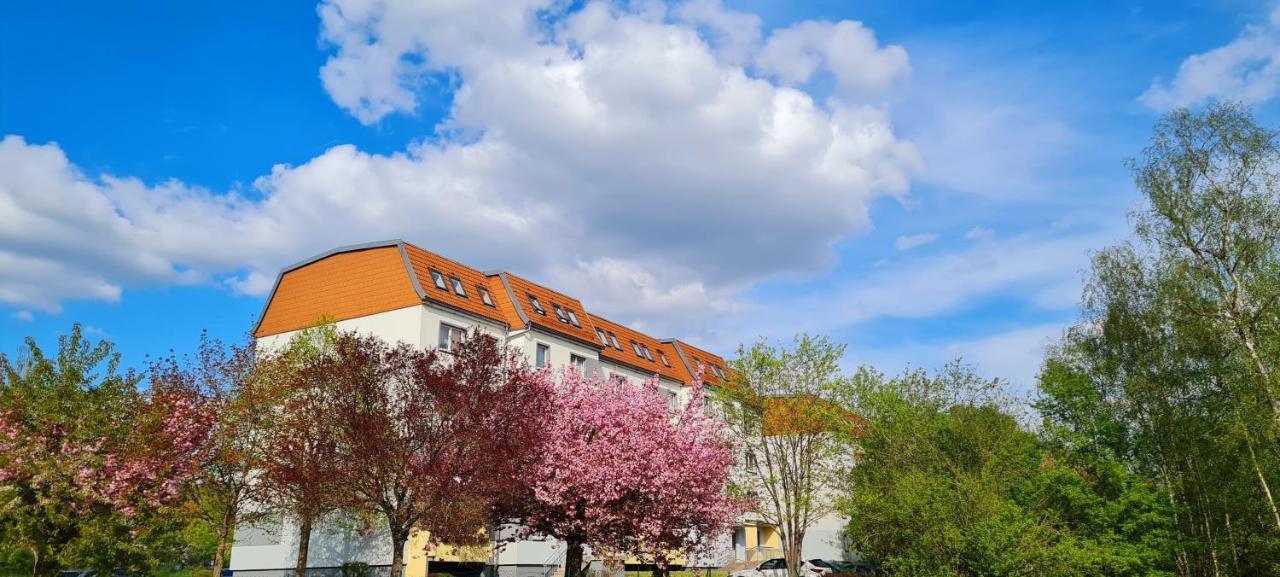 Moderne Wohlfuehlferienwohnung In ヒルトブルクハウゼン エクステリア 写真